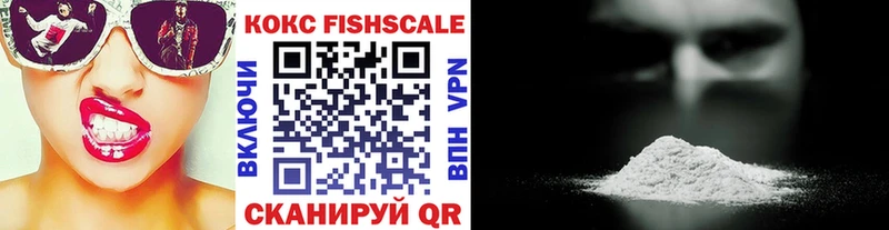 Cocaine Fish Scale  Купить закладки  Новомичуринск 