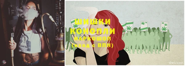 прущие грибы Лабытнанги