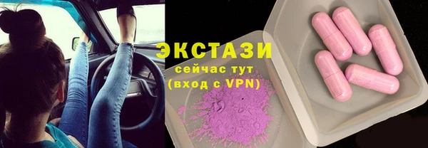 прущие грибы Лабытнанги