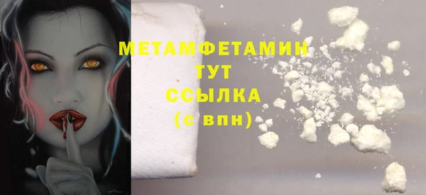 прущие грибы Лабытнанги