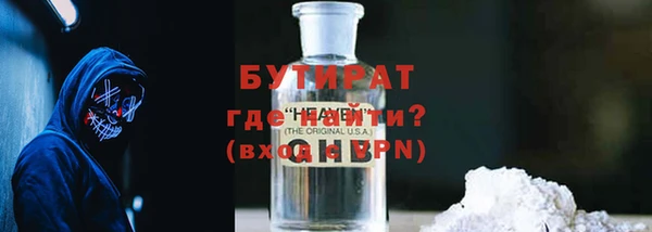 прущие грибы Лабытнанги