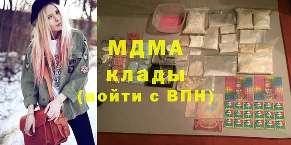 прущие грибы Лабытнанги