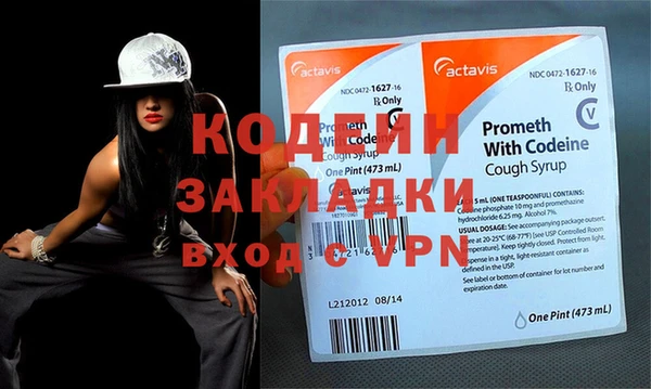 прущие грибы Лабытнанги