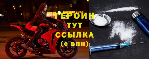 прущие грибы Лабытнанги