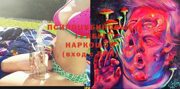 прущие грибы Лабытнанги