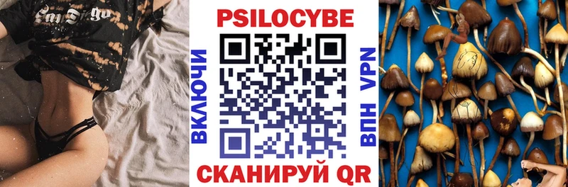 Купить  Новомичуринск  Галлюциногенные грибы Magic Shrooms 