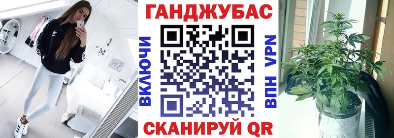 Купить где  Новомичуринск  Бошки Шишки ГИДРОПОН 